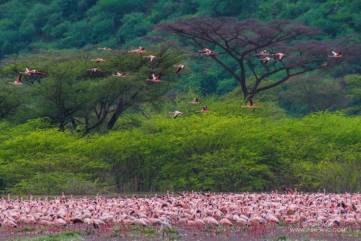 Wildlife education Kenya